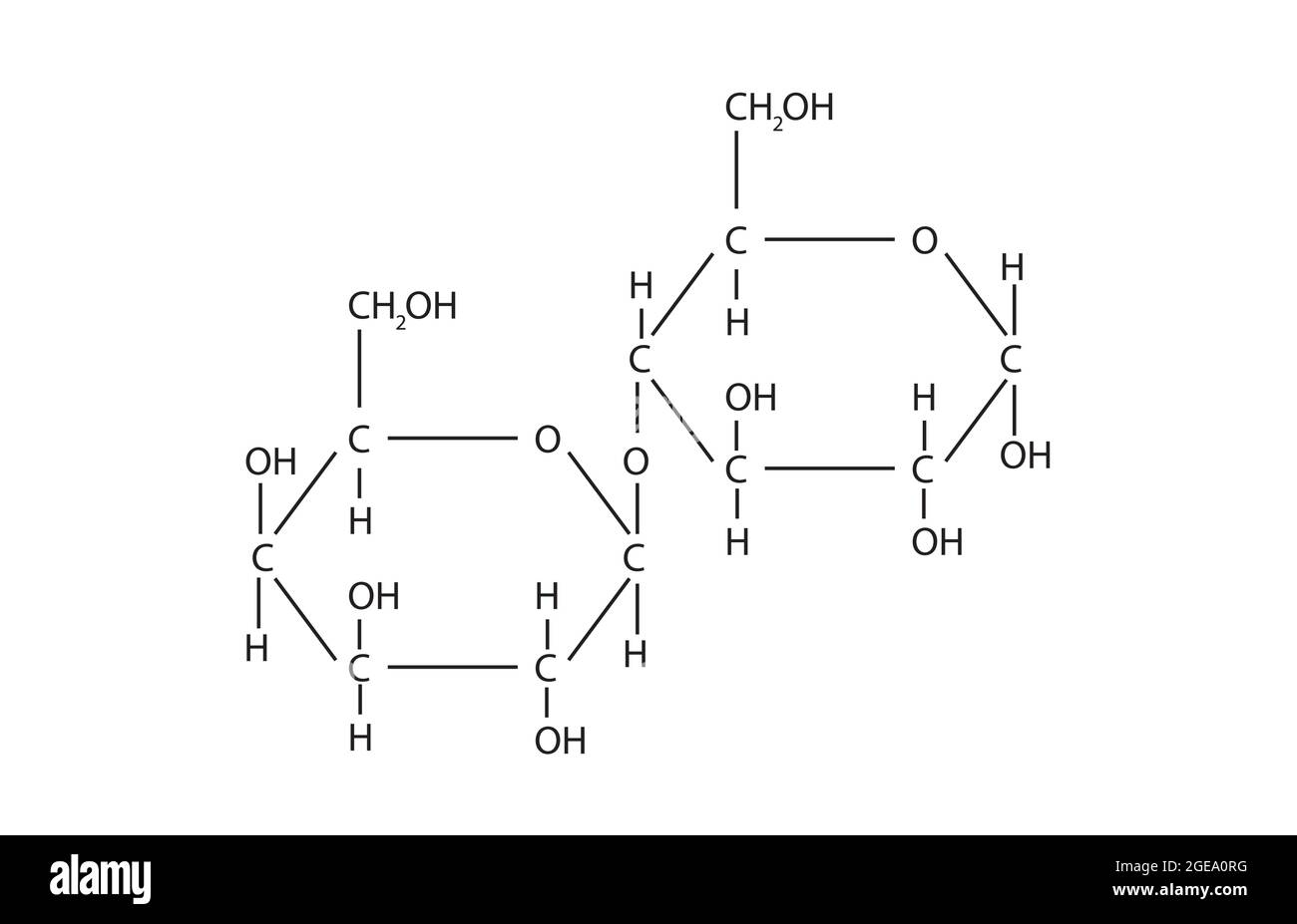 Chemische Struktur von Laktose, Anatomie von Laktose , Molekulare Struktur von   , Chemische Formel von Laktose, Laktosestruktur, Zucker, der in der Milch ist Stock Vektor