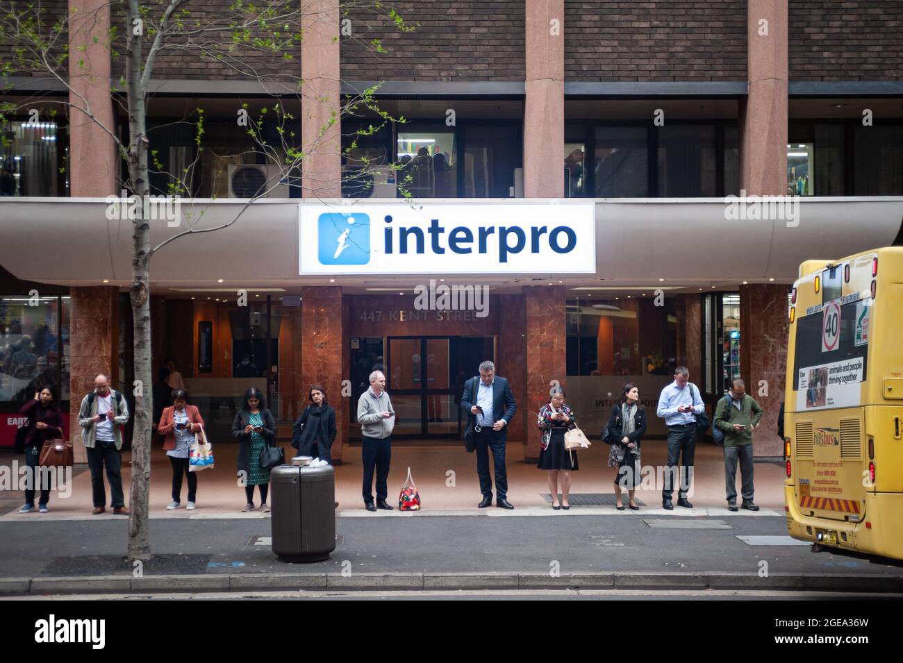 23.09.2019, Sydney, New South Wales, Australien - Menschen starren auf ihr Telefon, während sie an einer Bushaltestelle vor der Arbeitsagentur Interpro warten. Stockfoto