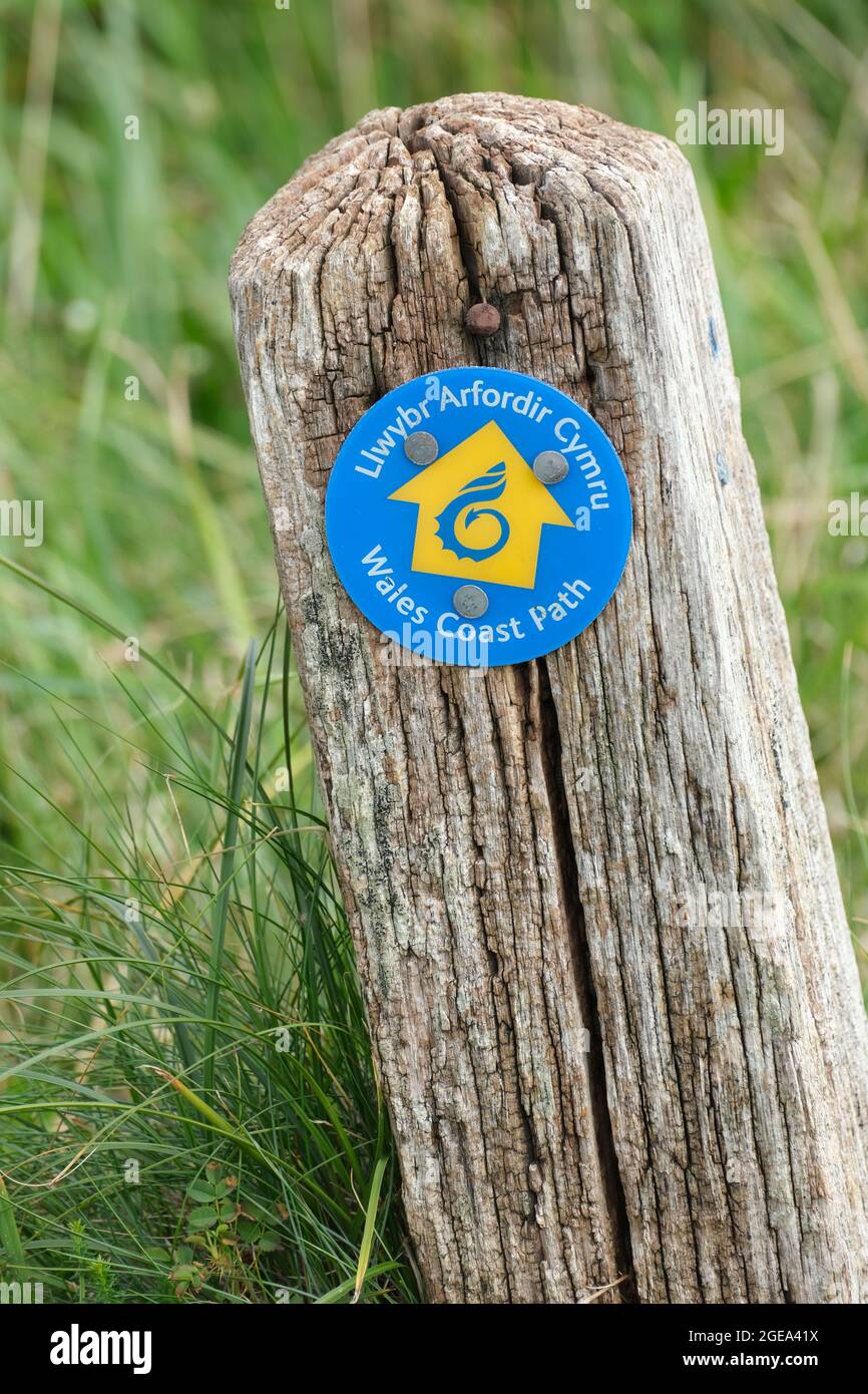 Wegweiser zum Wales Coast Path, Gower Peninsula, Wales. Kredit: Gareth Llewelyn/Alamy Stockfoto