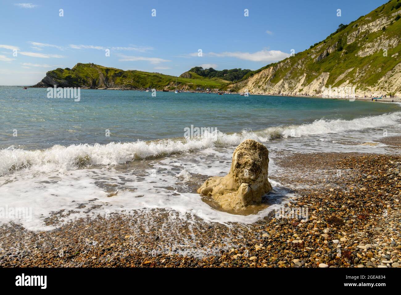 Fels, der einem Tier ähnelt, am steinigen Strand von Lulworth Cove, West Lulworth, Dorset, Großbritannien, August, Sommer Stockfoto