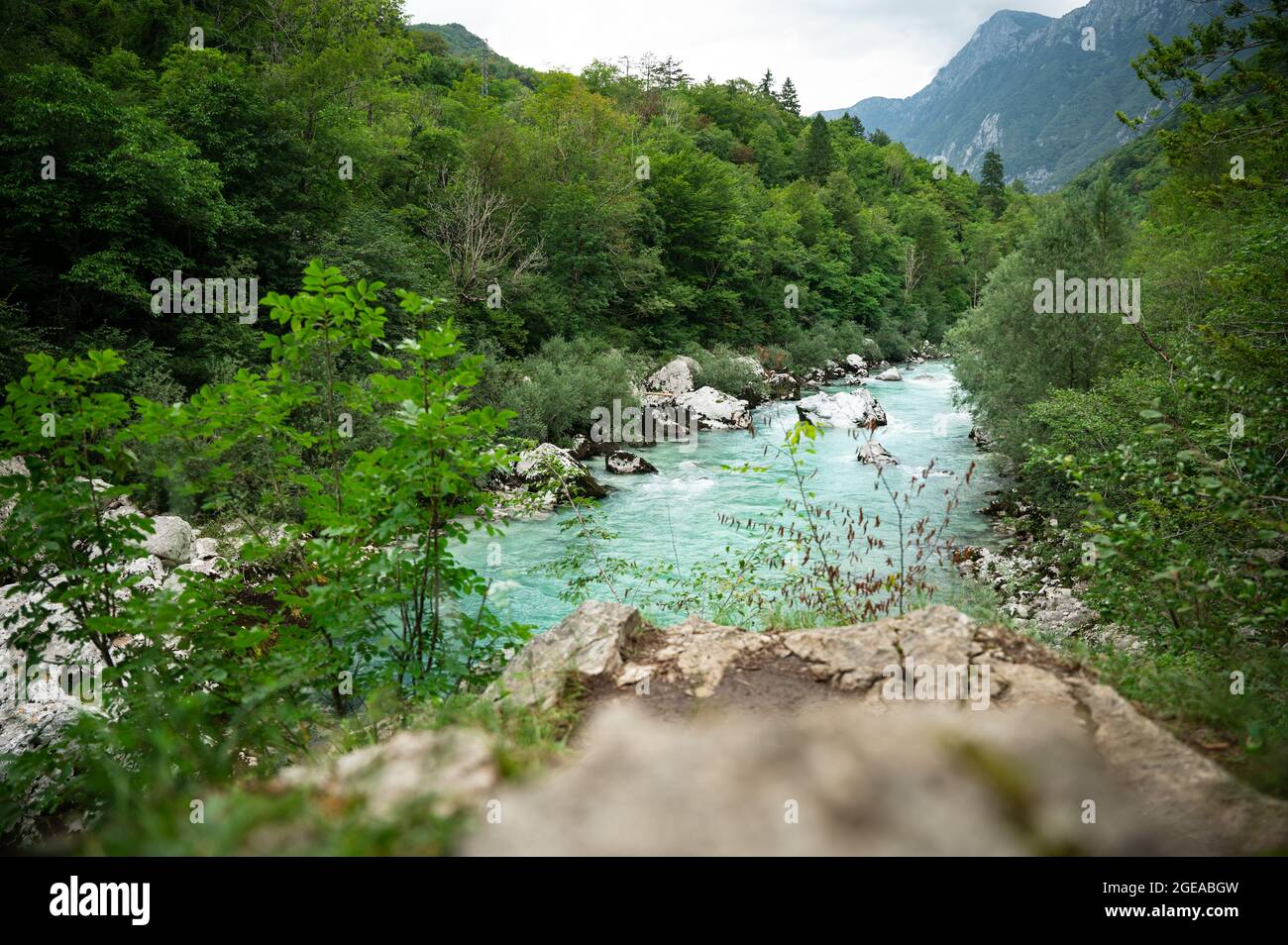 Blauer Fluss Soča mit kristallklarem Wasser im Soča-Tal (Slowenien) Stockfoto