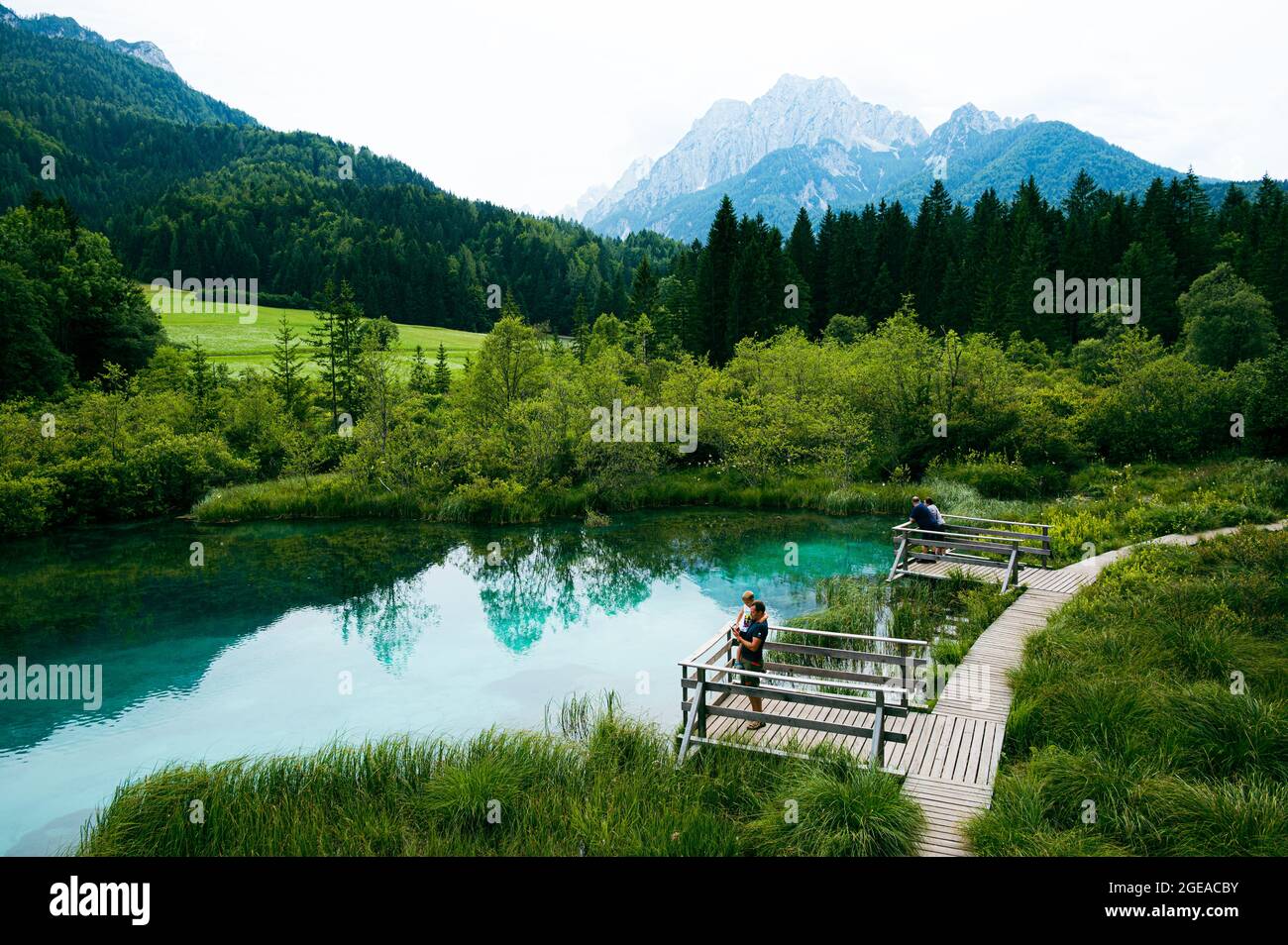 Zelenki Naturschutzgebiet in Slowenien - Blaue Seen und kristallklares Wasser in der Region Kranjska Gora Stockfoto