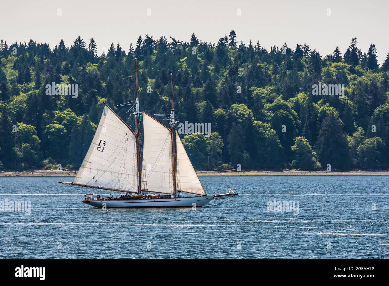 Schooner Adventuress segelt auf der Elliot Bay of Puget Sound in der Nähe von Seattle, Washington State, USA [nur redaktionelle Lizenzierung] Stockfoto