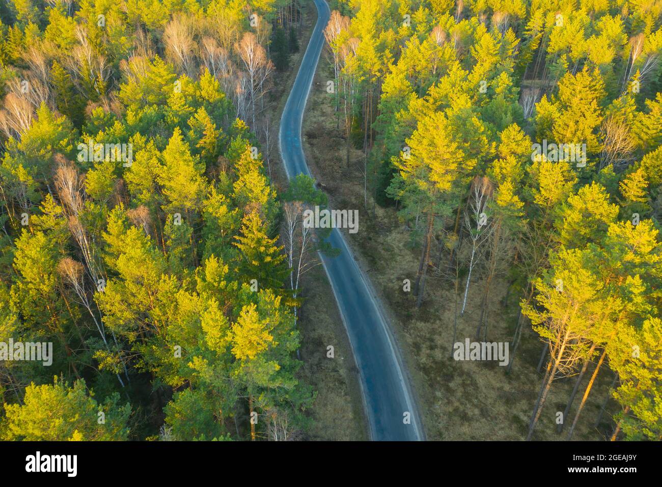 Eine kurvenreiche, asphaltierte Straße durch einen Nadelwald, von einer großen Höhe aus gesehen. Foto aufgenommen mit einer fliegenden Drohne. Stockfoto