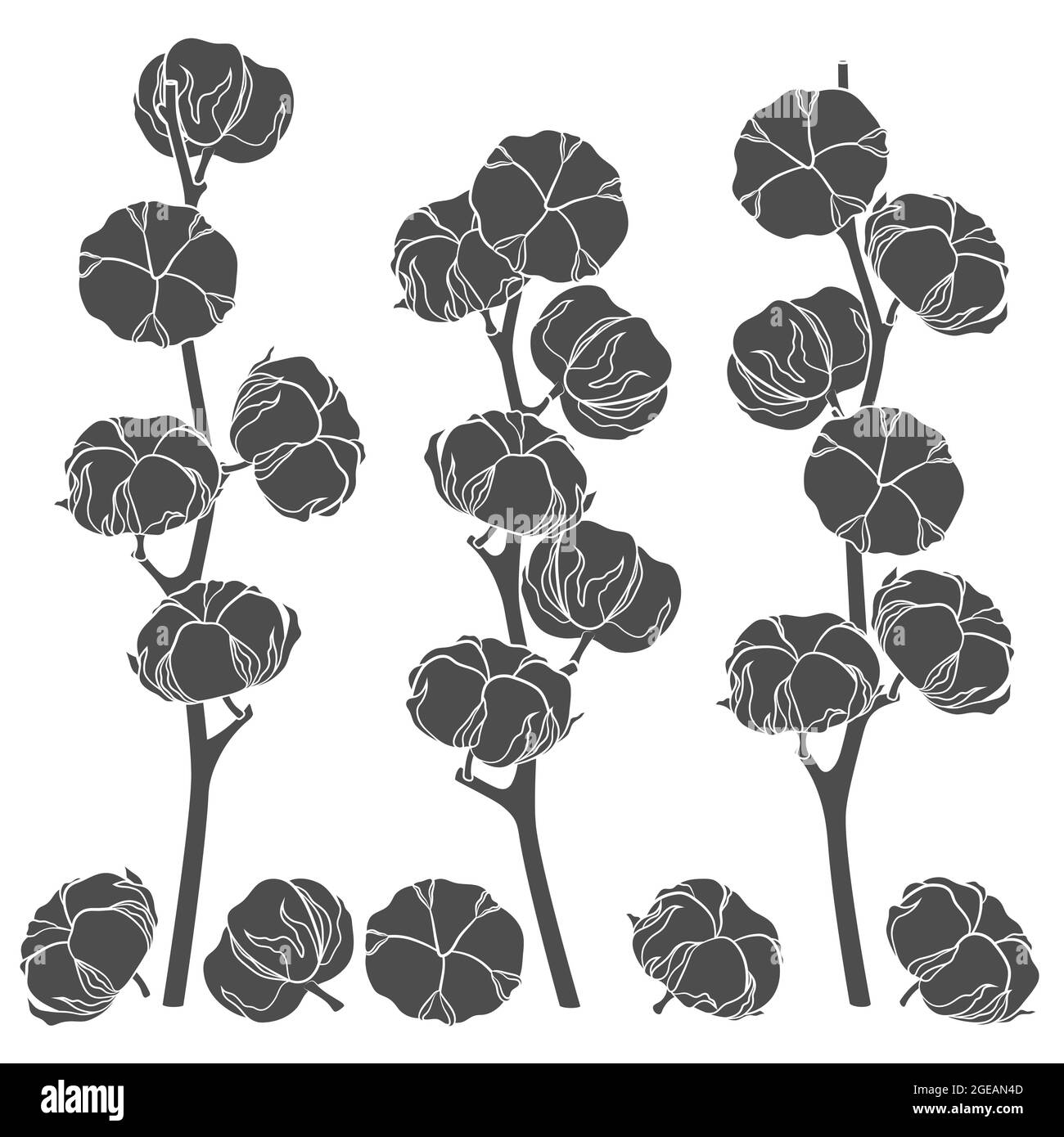 Set mit Illustrationen mit Baumwollzweigen. Isolierte Vektorobjekte auf weißem Hintergrund. Stock Vektor