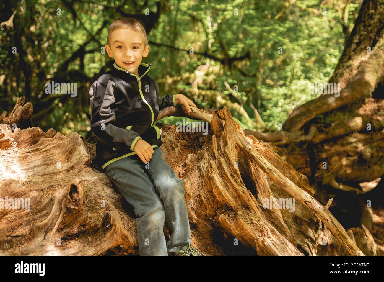 Kleiner Junge, der auf einem Baumstumpf im Hoh Rainforest im Olympic National Park sitzt. Stockfoto