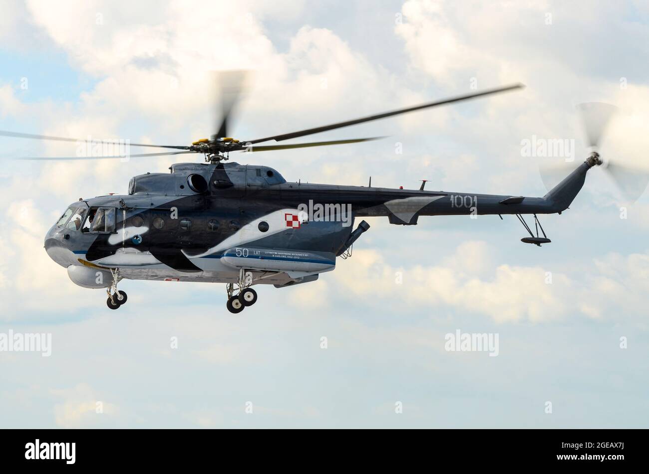 Militärhubschrauber der polnischen Marine Mil Mi-14 Haze mit Orca, Kunstwerk zum 50. Geburtstag des Killerwals. ASW-Hubschrauber der Darłowo Air Group. Besuch in Großbritannien Stockfoto