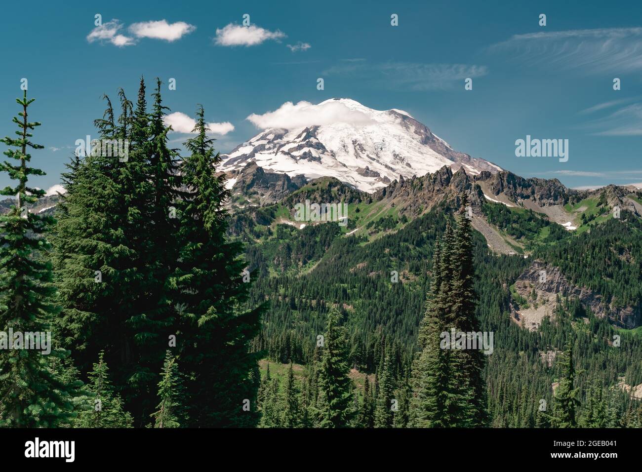 Blick auf Mt. Rainier auf dem Naches Peak Loop Trail in Mt. Rainier National Park. Stockfoto