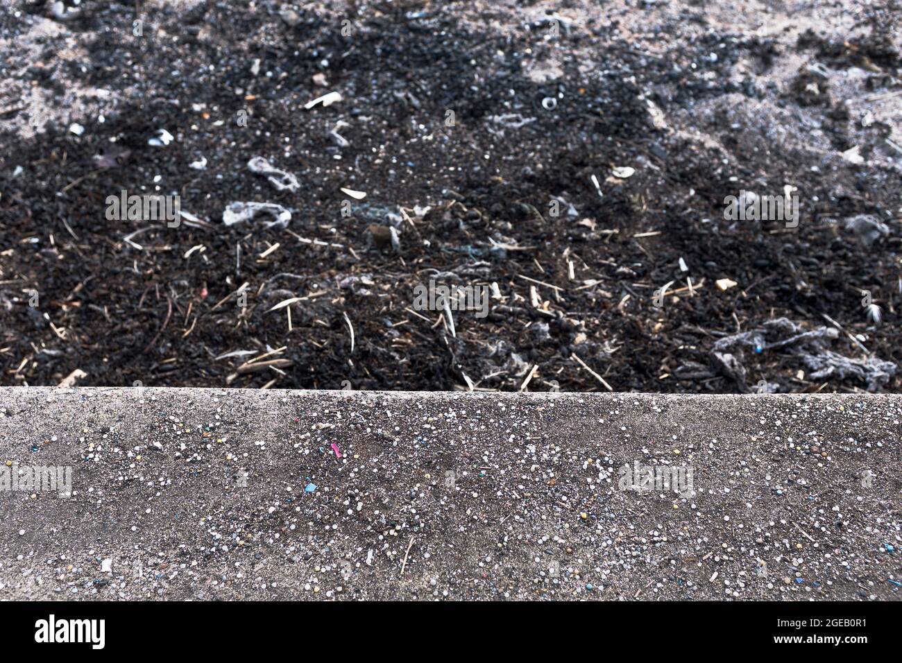 dh Beach Plastics RIVER FORTH FIFE Schottische Gärtnereien Verschmutzung Strände Mikroplastik Pellets an Land gewaschen Schottland uk Gärtnerperlen Abfall marine Stockfoto