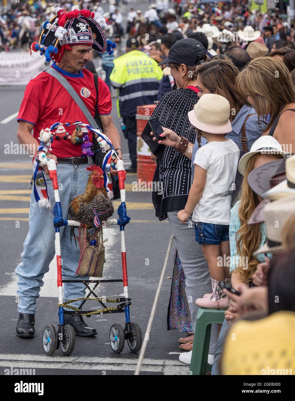 Mann, der während einer Parade in San Jose, Costa Rica, seinen zahmen Hahn vor einer Menschenmenge zeigt. Stockfoto