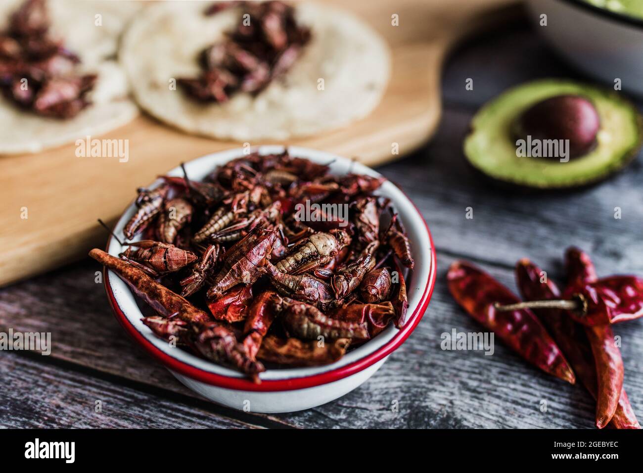 Grashüpfer oder Chapulines Snack. Traditionelles mexikanisches Essen aus Oaxaca, Mexiko Stockfoto