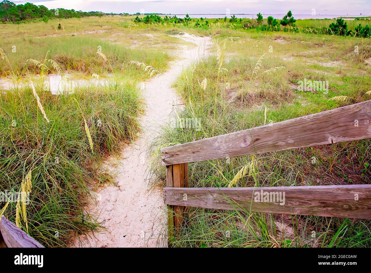 Schritte führen zu einem Wanderweg auf der Pelican Peninsula am 12. August 2021 in Dauphin Island, Alabama. Stockfoto