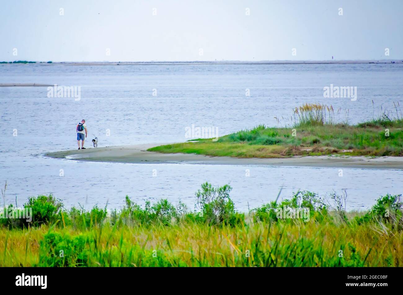 Ein Mann geht mit seinem Hund am 12. August 2021 auf der Pelican Peninsula in Dauphin Island, Alabama. Stockfoto
