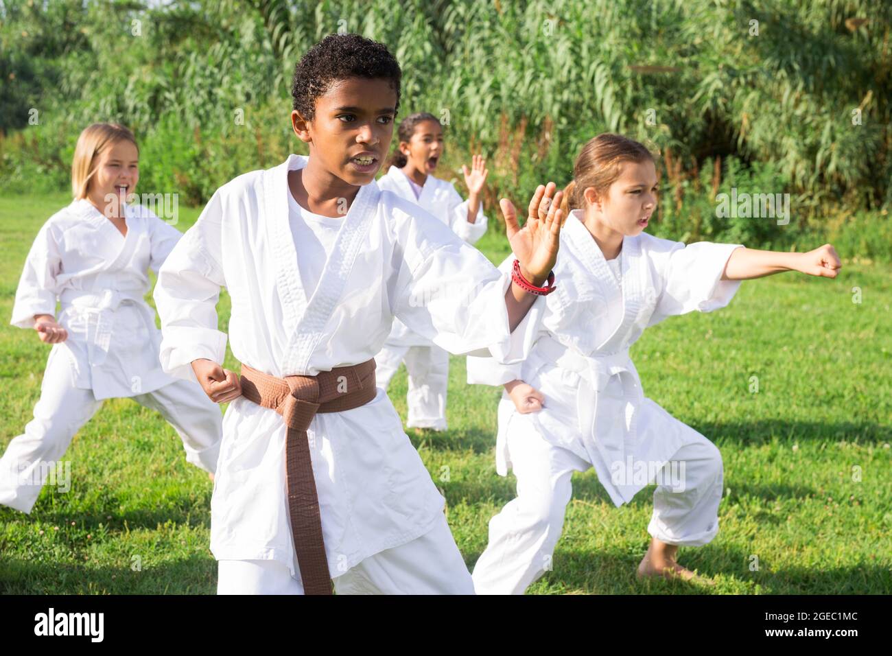 Kinder im Kimono üben Karate im Sommer im Freien Stockfoto