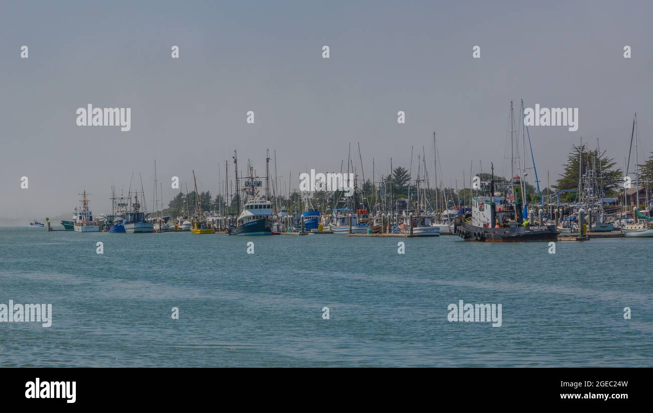 Woodley Island Marina in der Hafenstadt Eureka. Am Hafen der Humboldt Bay im Humboldt County, Kalifornien Stockfoto
