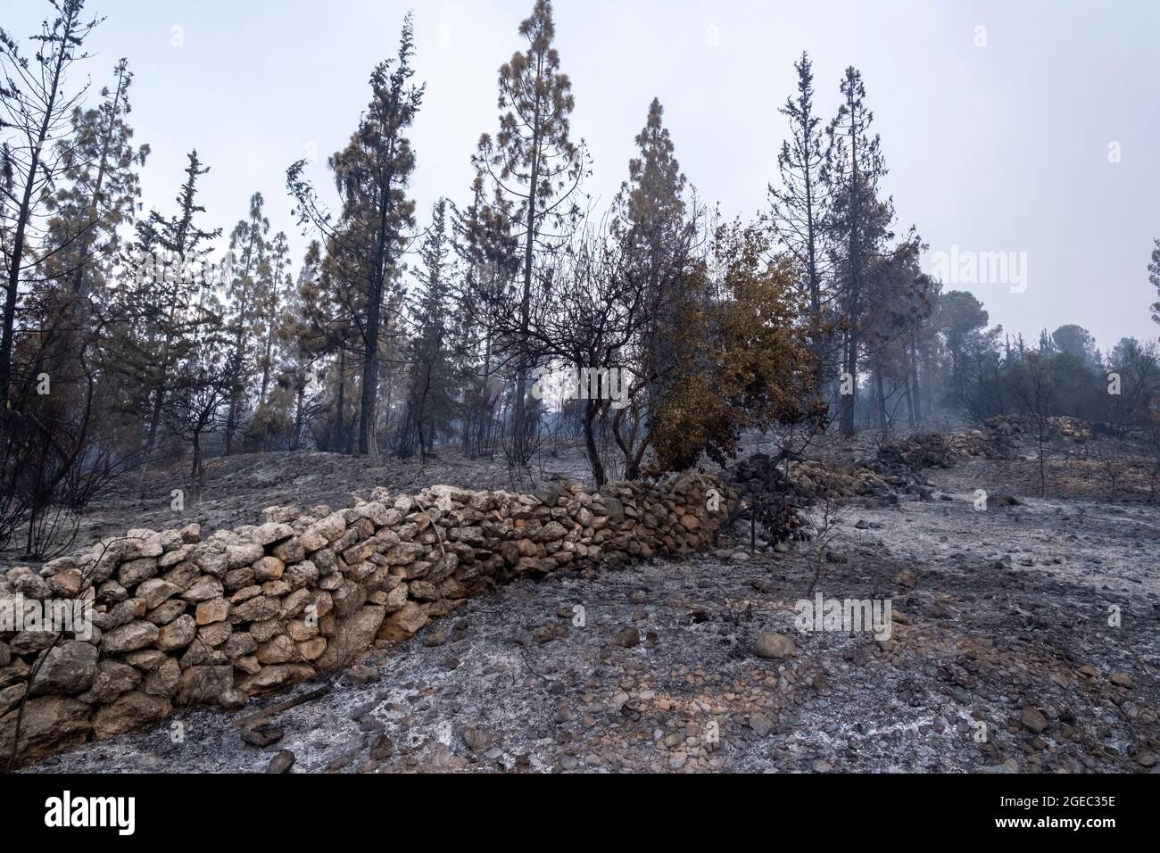 Ein großes Waldfeuer enthüllt die Terrassenbewirtschaftung eines palästinensischen Dorfes aus dem Jahr 1948 am 18. August 2021 in Jerusalem, Israel, am Rande der Stadt. Das enorme Waldfeuer verzehrte rund 25,000 Dunams (6,200 Acres) Wald außerhalb Jerusalems. Das Feuer war eines der größten in der Geschichte des Landes, Es hat riesige grüne Waldgebiete verbrannte, die Wanderwege und Nationalparks umfassen. Stockfoto