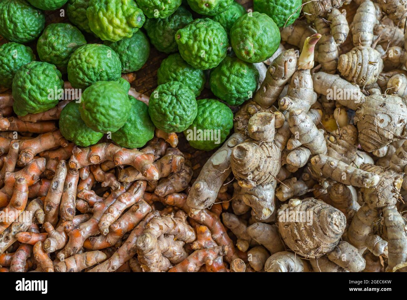 Hintergrund von frischen Kräutern, die immer in Thailand verwendet. Nahaufnahme von Bergamotte, Ingwer und Kurkuma. Ausgewähltes Fokusbild. Stockfoto