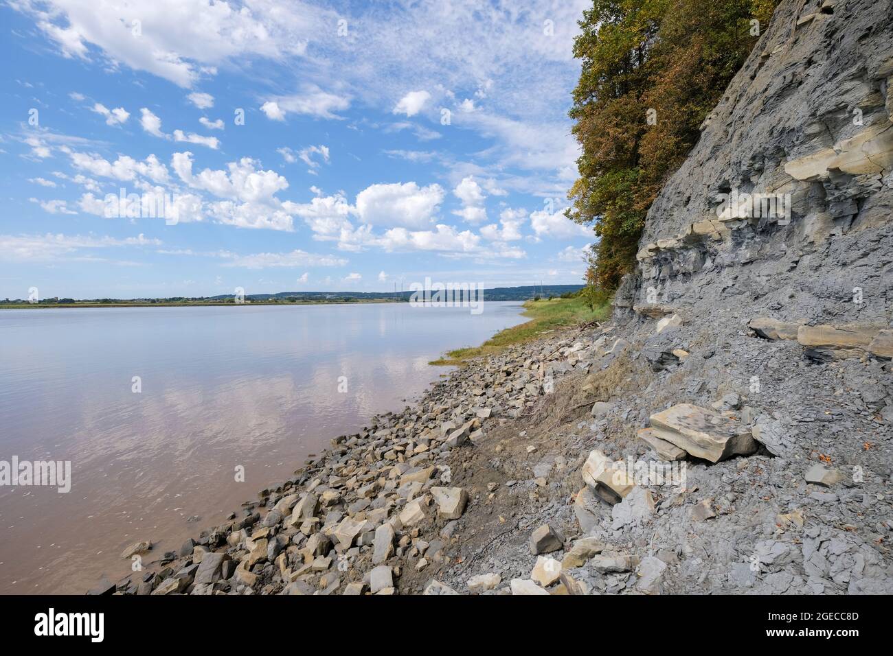 Fossil reiche Jurassic Blue Lias Formation des Lias Group Hock Cliff am Fluss Severn. Fretherne, Gloucestershire, Großbritannien Stockfoto