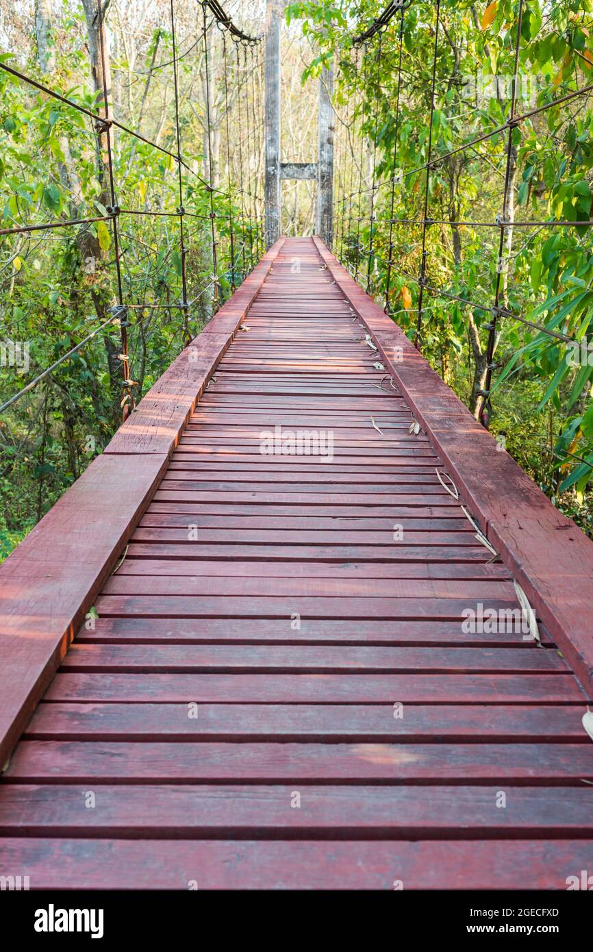 Holzbrücke aus Eisen und Kette im Wald Stockfotografie - Alamy