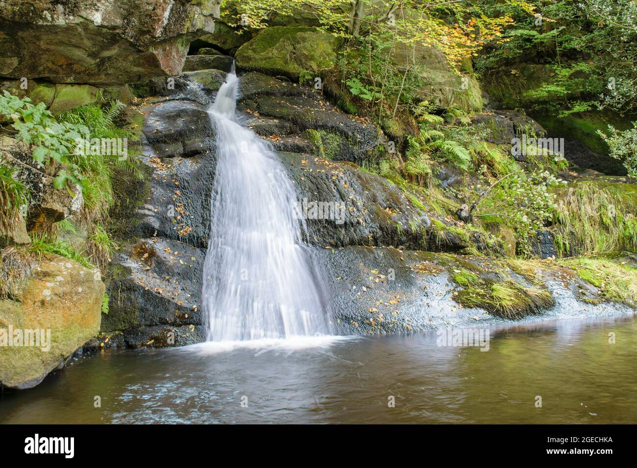 Posforth Gill Upper Waterfall, Bolton Abbey, Yorkshire Dales. Stockfoto