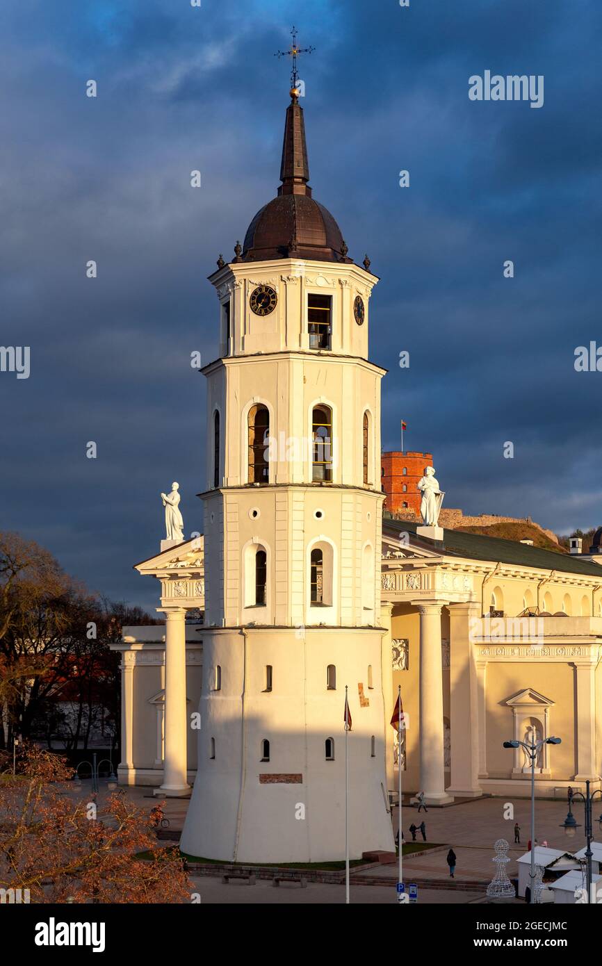 Die Kathedrale von St. Stanislav und der Turm der Gediminas. Vilnius. Litauen. Stockfoto