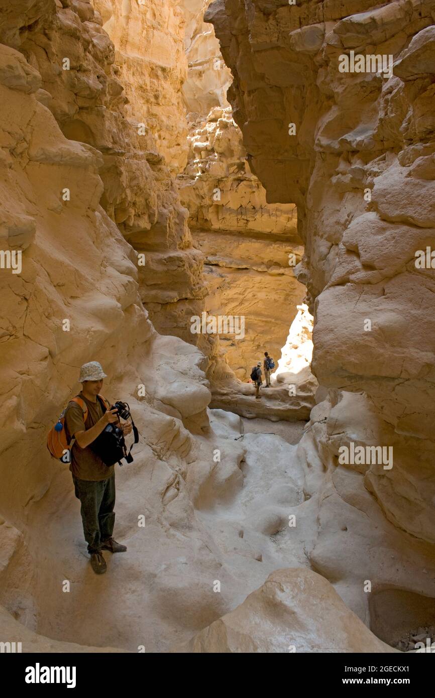 Wanderer klettert die Seilleiter in einer wassererodierten Höhle am Barak-Strom, Aravah-Wüste, Israel, Stockfoto