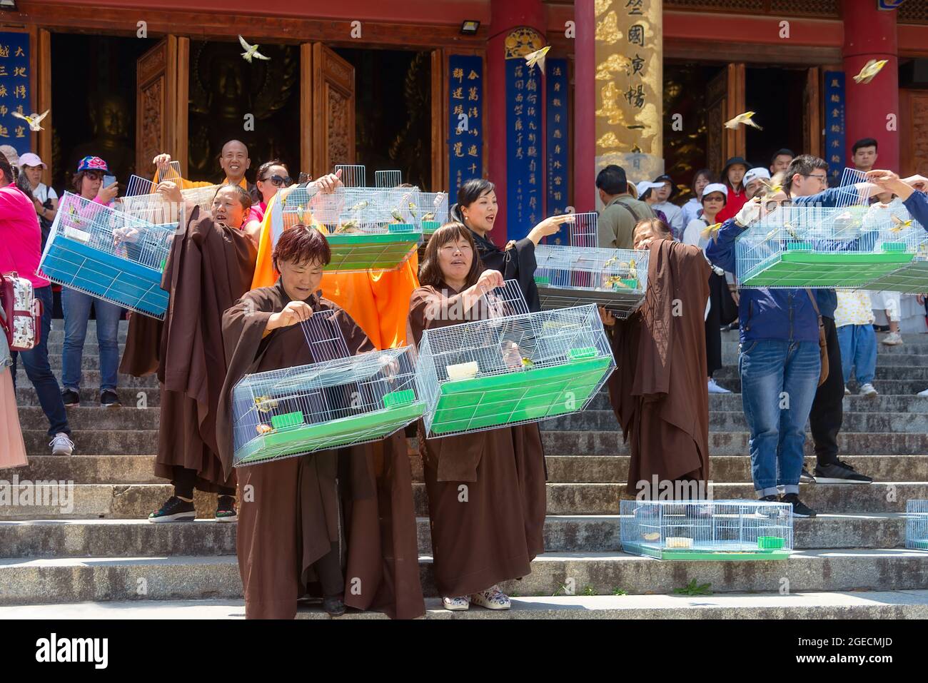 Dali, China - 25. April 2019: Eine Gruppe buddhistischer Gläubiger erfüllt die Zeremonie der Befreiung des Lebens in der Daxiong Hall im Chongsheng Tempel Stockfoto