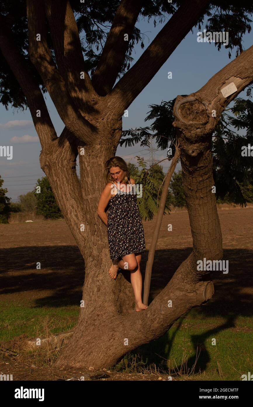 Eine junge blonde Frau beschützt eine Baumfrau Stockfoto