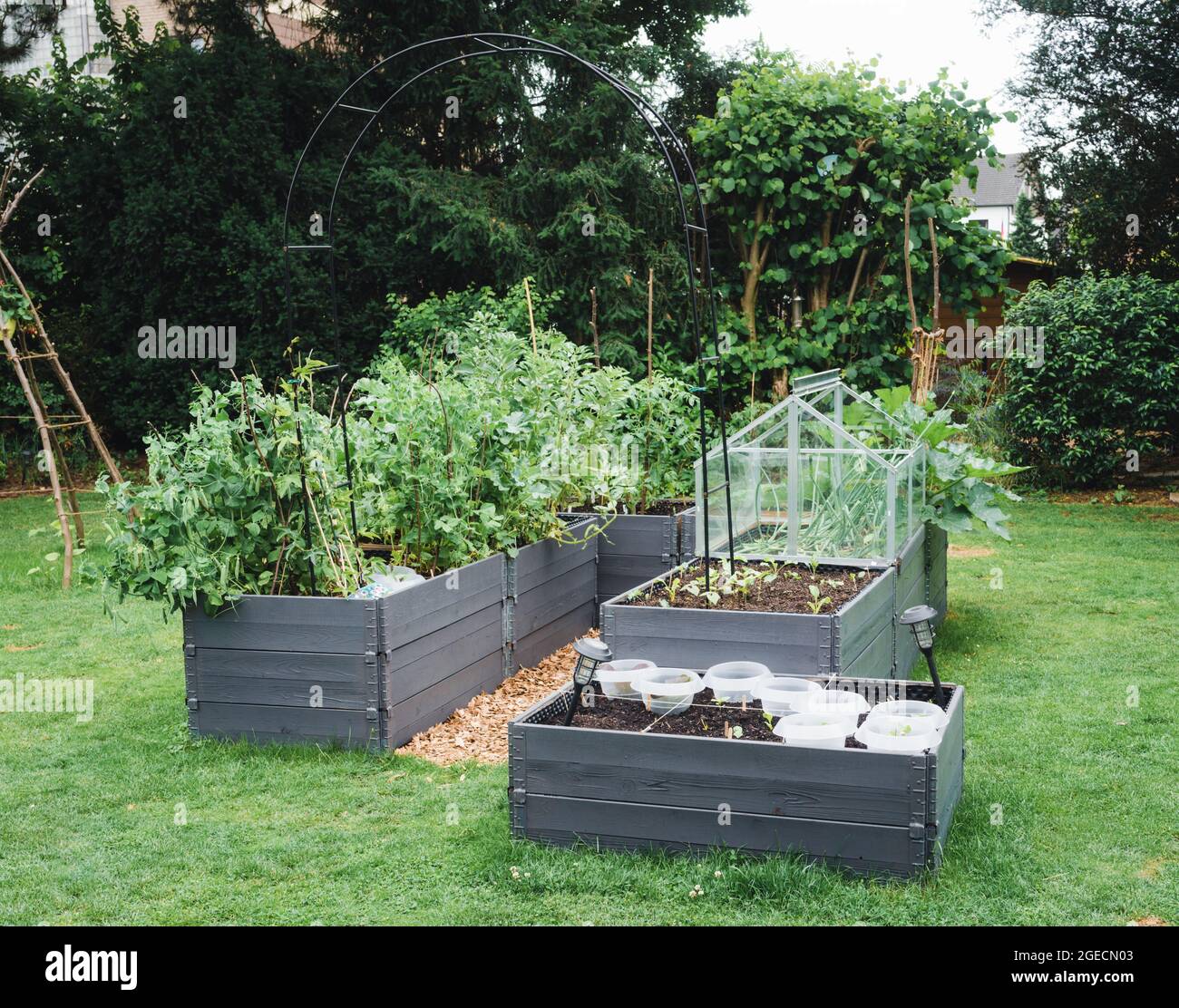 Hochbetten im Garten Stockfoto