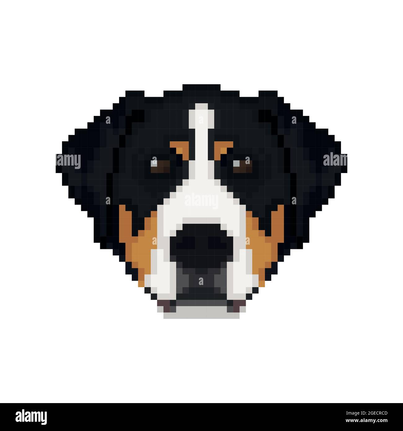 Swiss Mountain Hundekopf im Pixel Art Stil. Vektorgrafik Hund. Stock Vektor