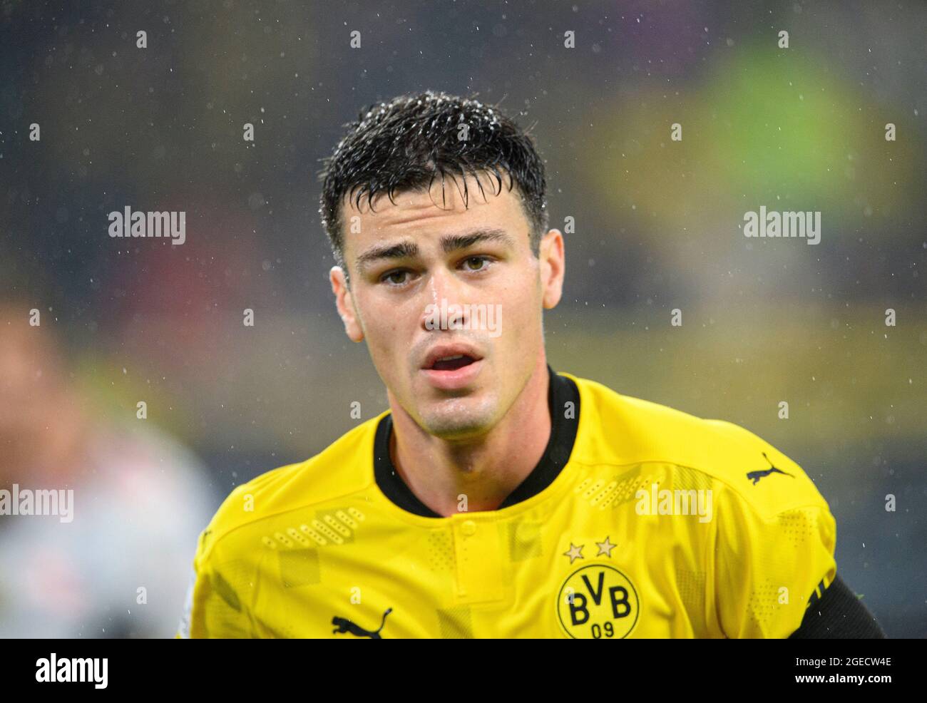 Giovanni REYNA (DO) Fußball-Supercup-Finale, Borussia Dortmund (DO) - FC Bayern München (M) 1: 3, am 08/17/2021 in Dortmund / Deutschland. #die DFL-Vorschriften verbieten die Verwendung von Fotos als Bildsequenzen und/oder quasi-Video # Â Stockfoto