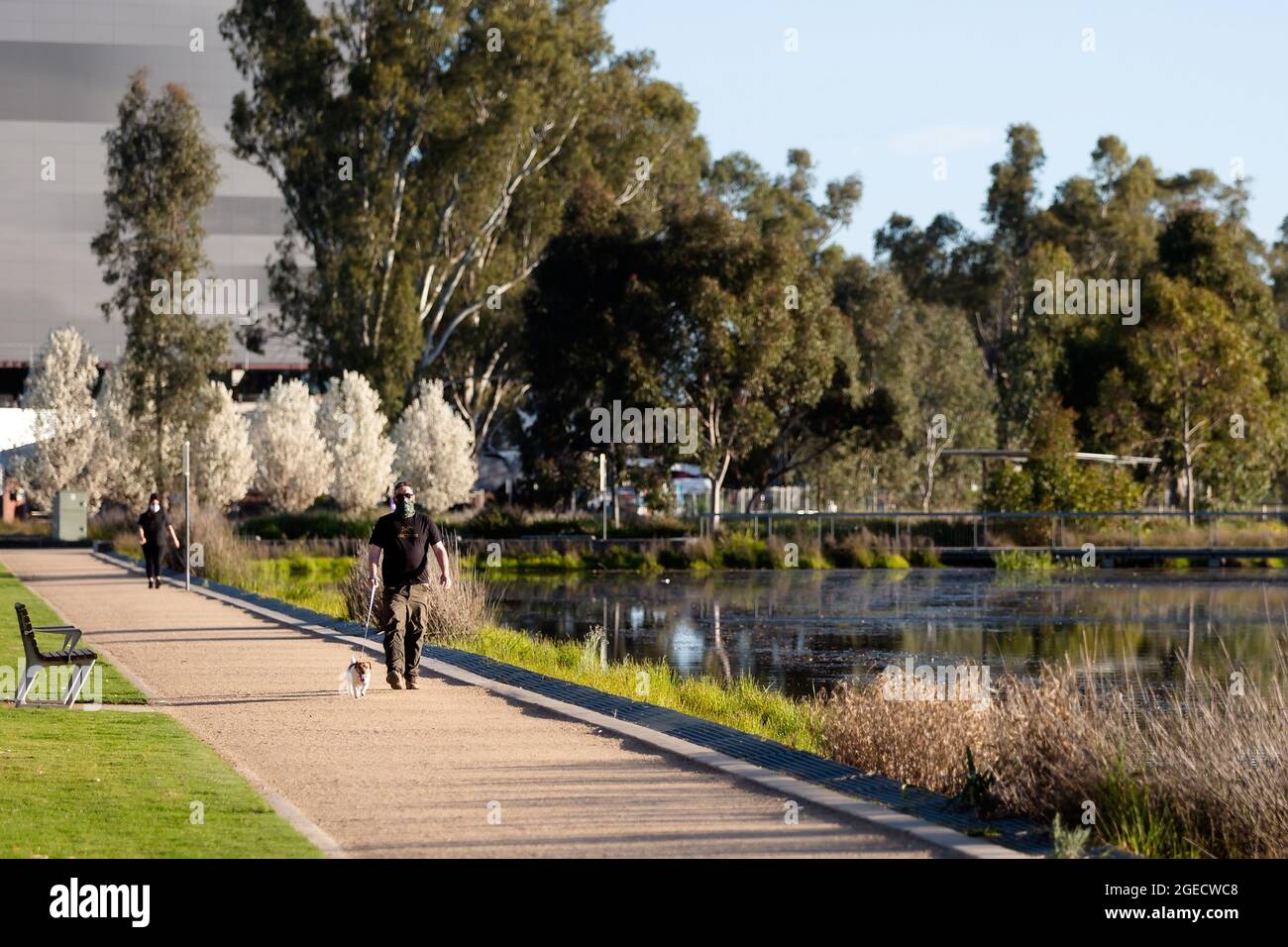 Shepparton, Australien, 16. September 2020. Ein Mann läuft seinen Hund entlang des Goulburn River während der COVID-19 in Melbourne, Australien. Premier Daniel Andrews gab gestern bekannt, dass die Region Victoria zu Schritt 3 der Roadmap übergehen wird. Für Shepparton, im Zentrum von Victoria, scheint dies zu wenig, zu spät zu sein. Kredit: Dave Hewison/Speed Media/Alamy Live Nachrichten Stockfoto