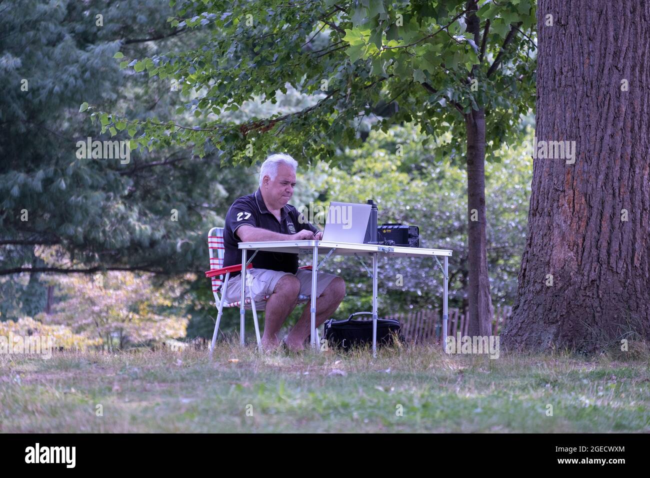 Ein älterer Mann mit weißen Haaren in einem tragbaren Büro, das in einem Park in Queens, New York City, eingerichtet wurde. Stockfoto