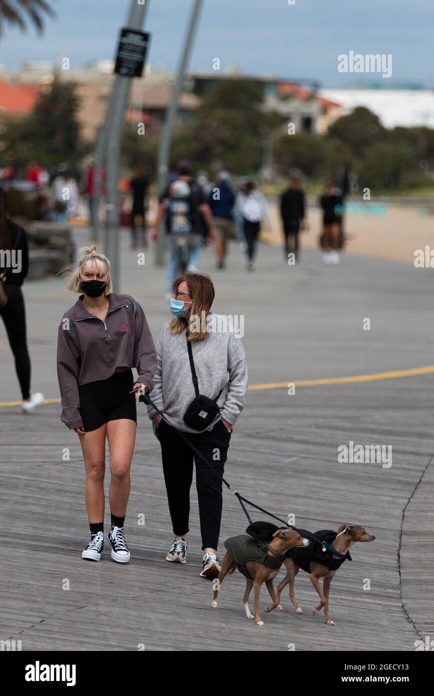 Melbourne, Australien, 18. Oktober 2020. Zwei Frauen werden während der COVID-19 in St. Kilda, Australien, beim Spazierengehen mit ihren Hunden am Strand beobachtet. Premier Daniel Andrews steht unter dem wachsenden Druck, Beschränkungen im Einklang mit NSW zu lockern, trotzdem hob der Premier in seiner mit Spannung erwarteten Pressekonferenz am Sonntag die längste und strengste Sperre der Welt nur leicht ab. Das Geschäft sah keine Erleichterung, da es nur einen Hinweis auf eine Lockerung in zwei Wochen gab. Kredit: Dave Hewison/Speed Media/Alamy Live Nachrichten Stockfoto