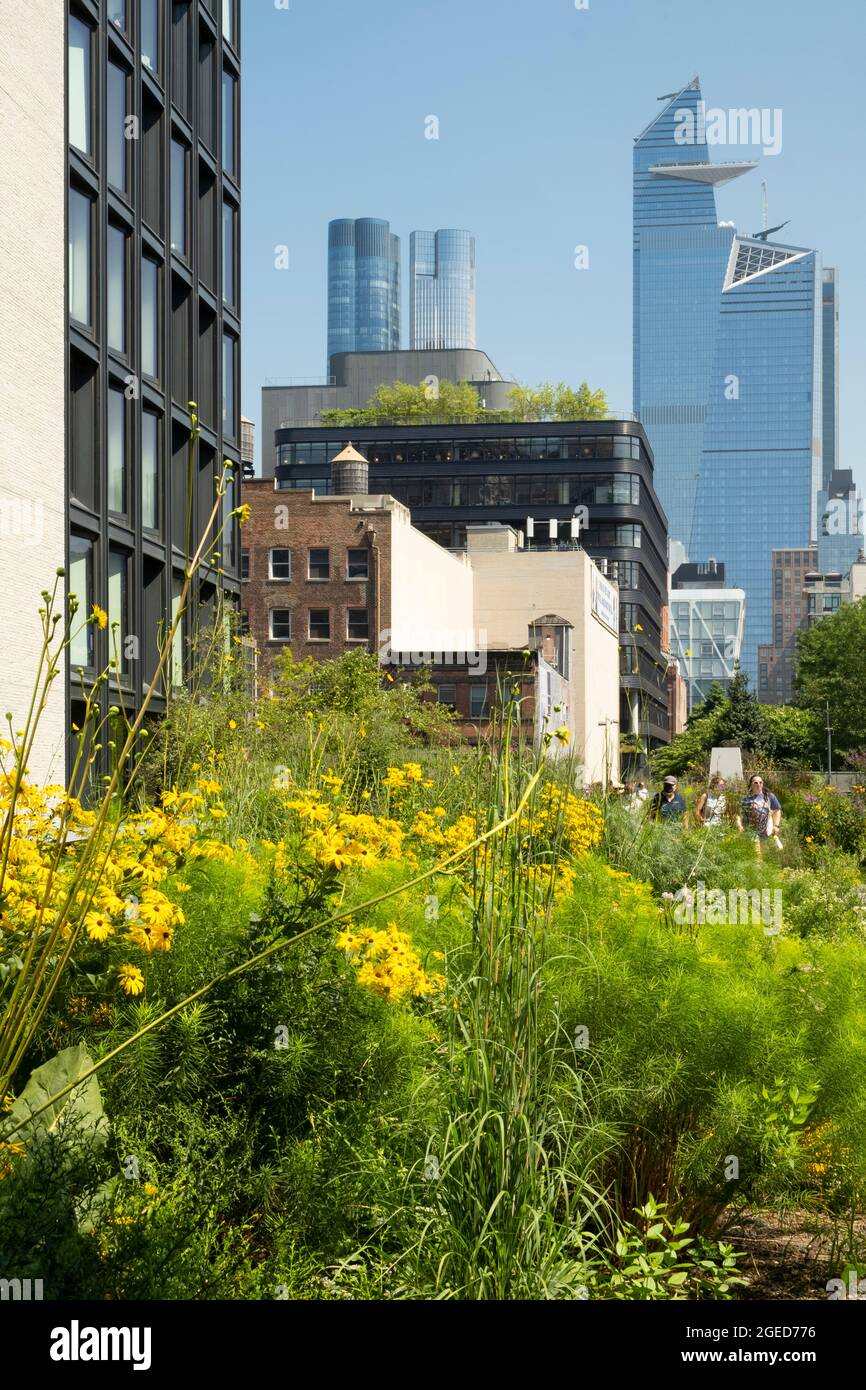 Ein Blick auf die Skyline von New York City von der High Line bis zu 30 Hudson Yards und der Aussichtsplattform Edge Stockfoto
