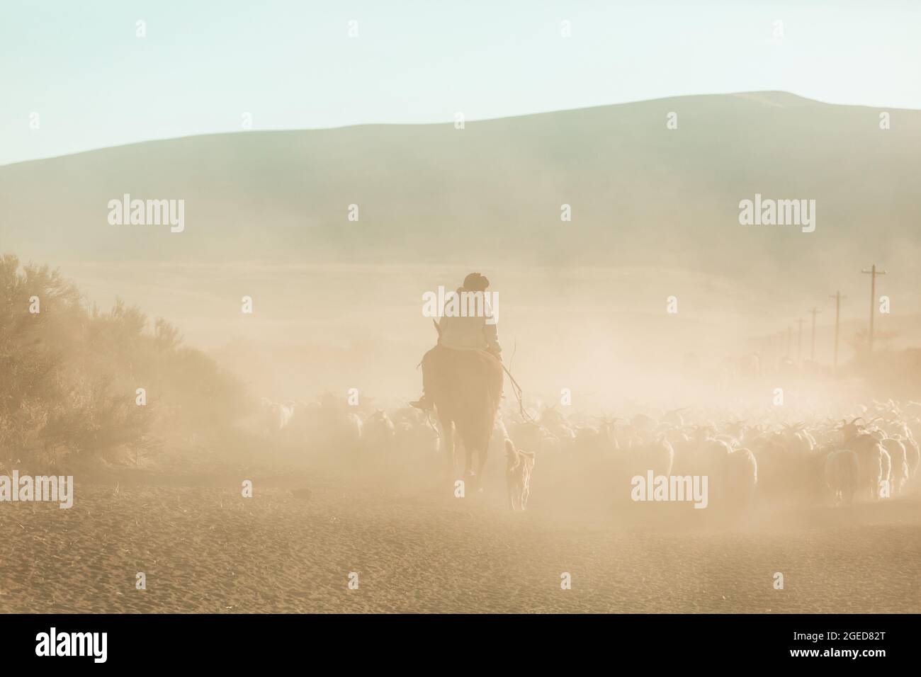 Gauchos in Patagonien, Argentinien Stockfoto