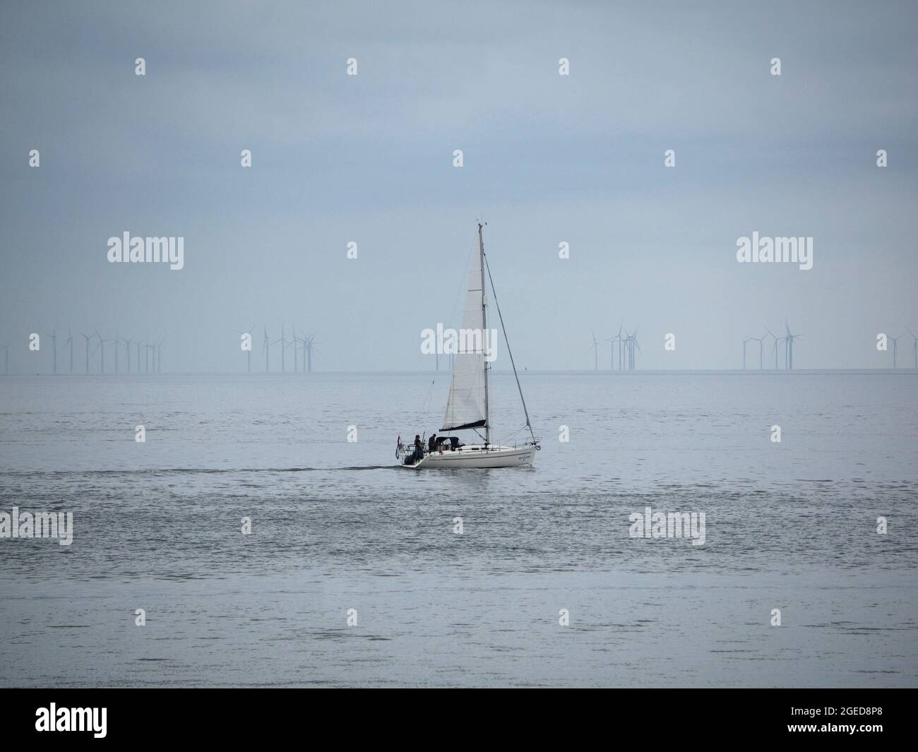 Grüne Energie bei der Arbeit, Segelboot in der Nähe von Oudeschild, Texel Insel, Niederlande, mit Windturbinenpark am Horizont. Stockfoto