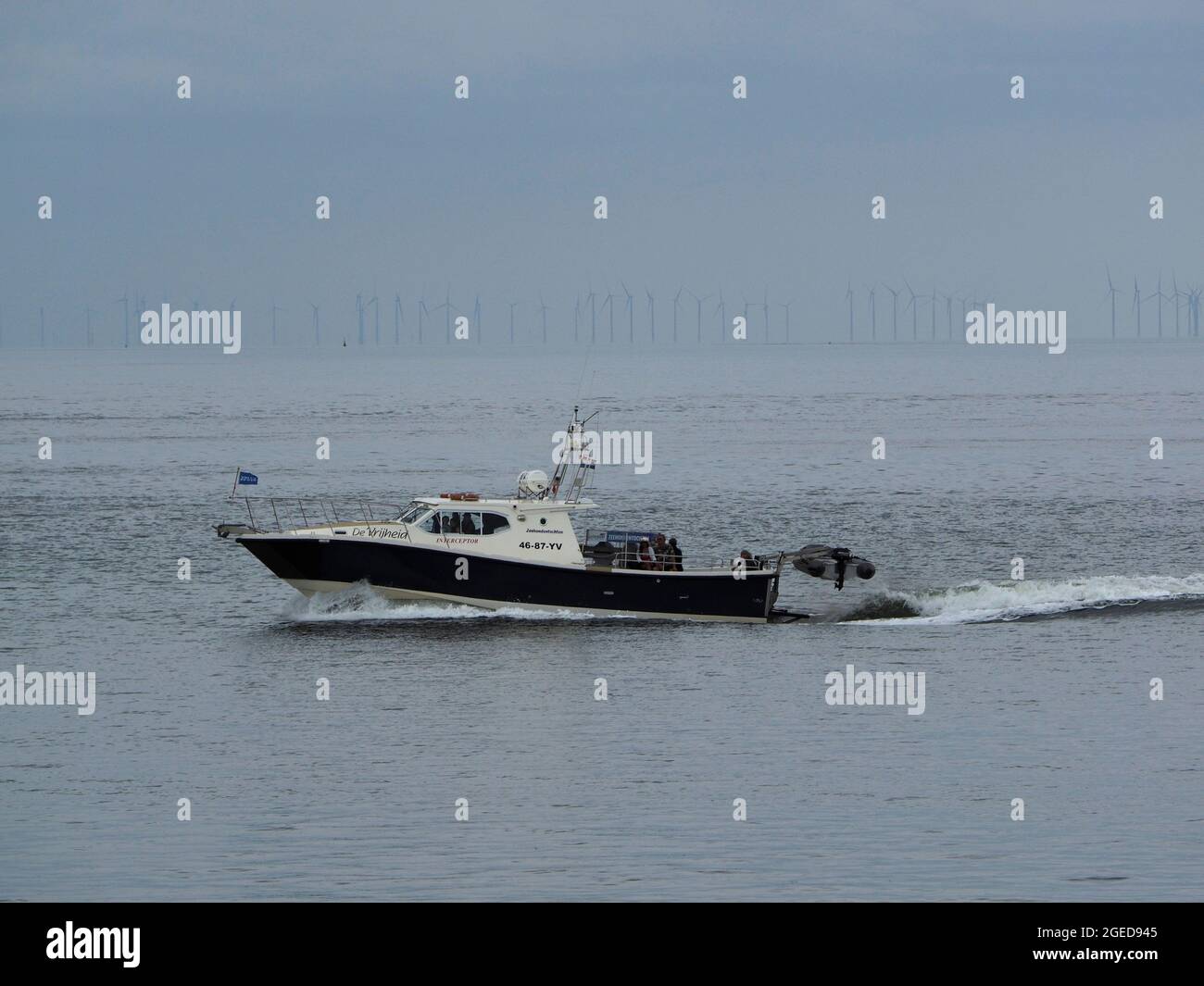 Touristenboot für Robbenbeobachtungstouren in der Nähe von Oudeschild, Texel, Niederlande mit vielen Windmühlen-Windkraftanlagen im Hintergrund Stockfoto