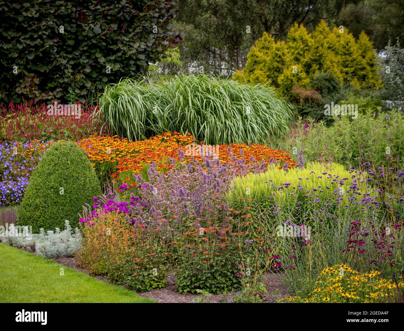 Mehrfarbige, im Sommer blühende Stauden und Ziergräser, die in einem britischen Garten an der Blumengrenze wachsen. Stockfoto