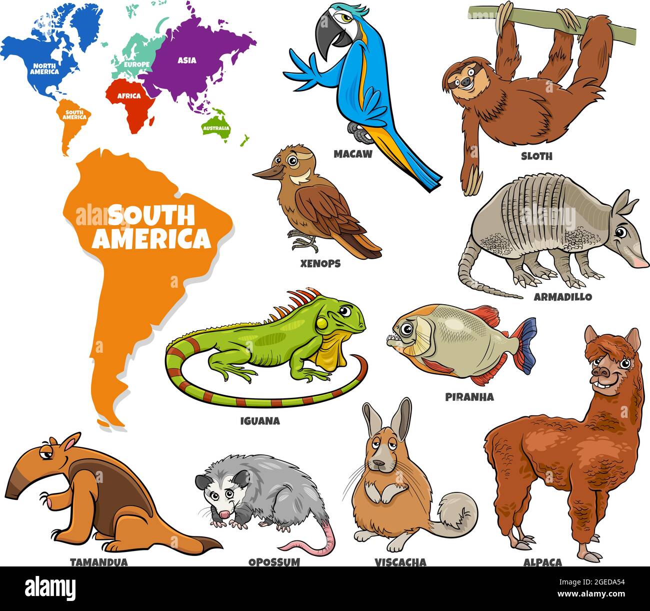 Pädagogische Karikatur Illustration von südamerikanischen Tierarten Set und Weltkarte mit Kontinenten Formen Stock Vektor