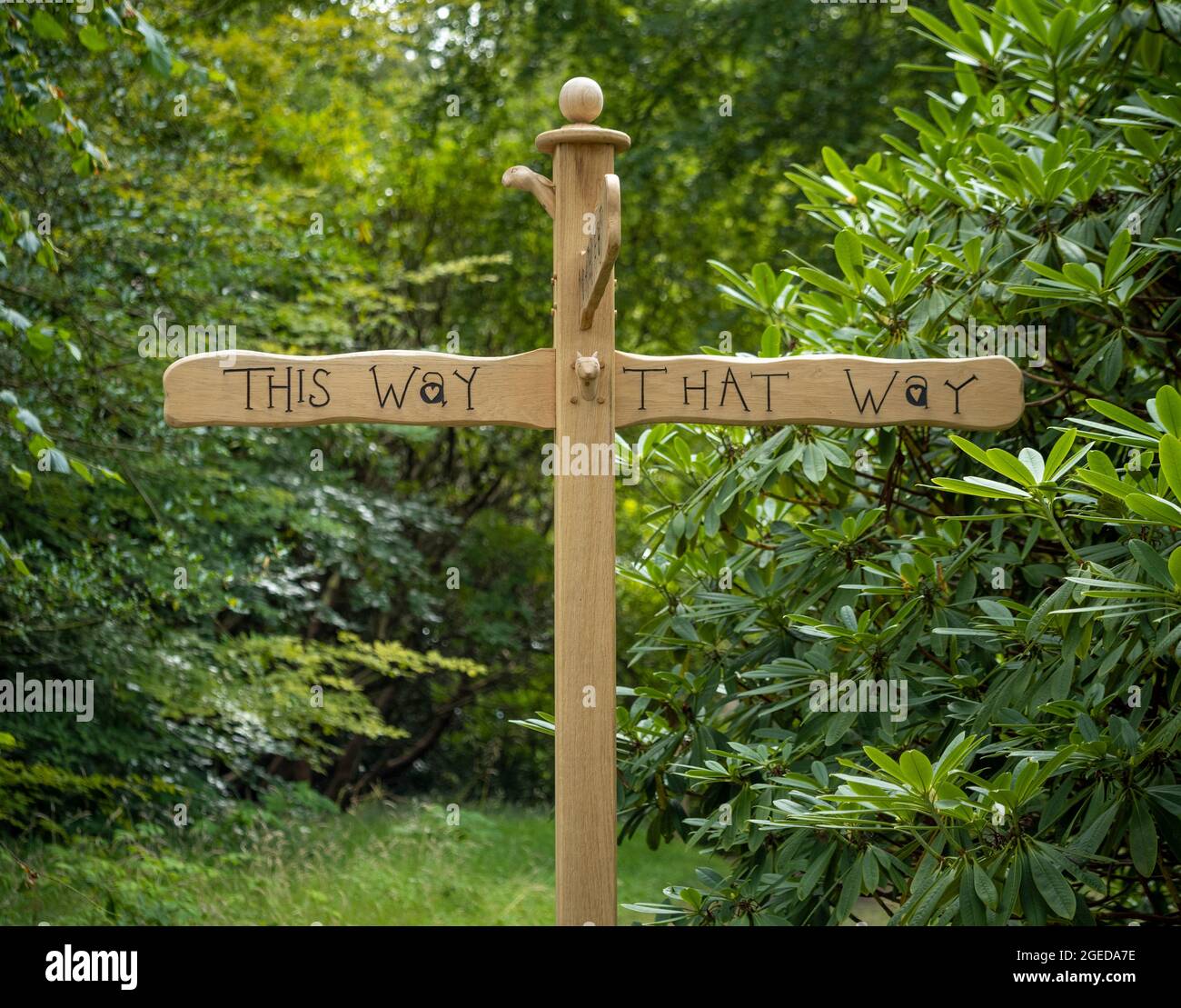 Hölzerne Wegweiser in einem Wald, der auf diesen und diesen Weg zeigt. Stockfoto