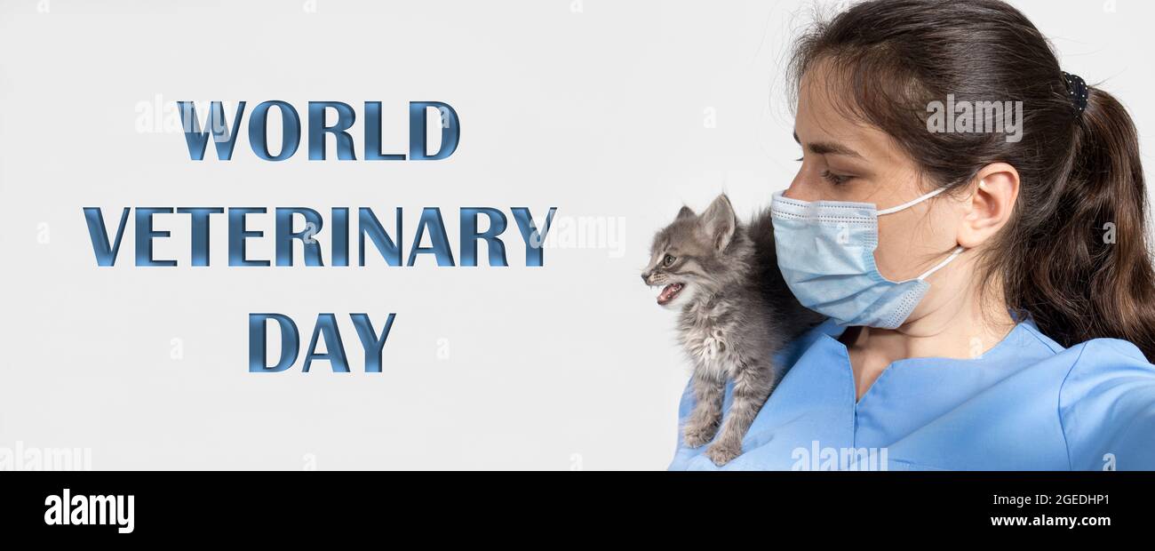 Banner World Veterinary Day. Tierarzt und Kätzchen, Katze. Stockfoto