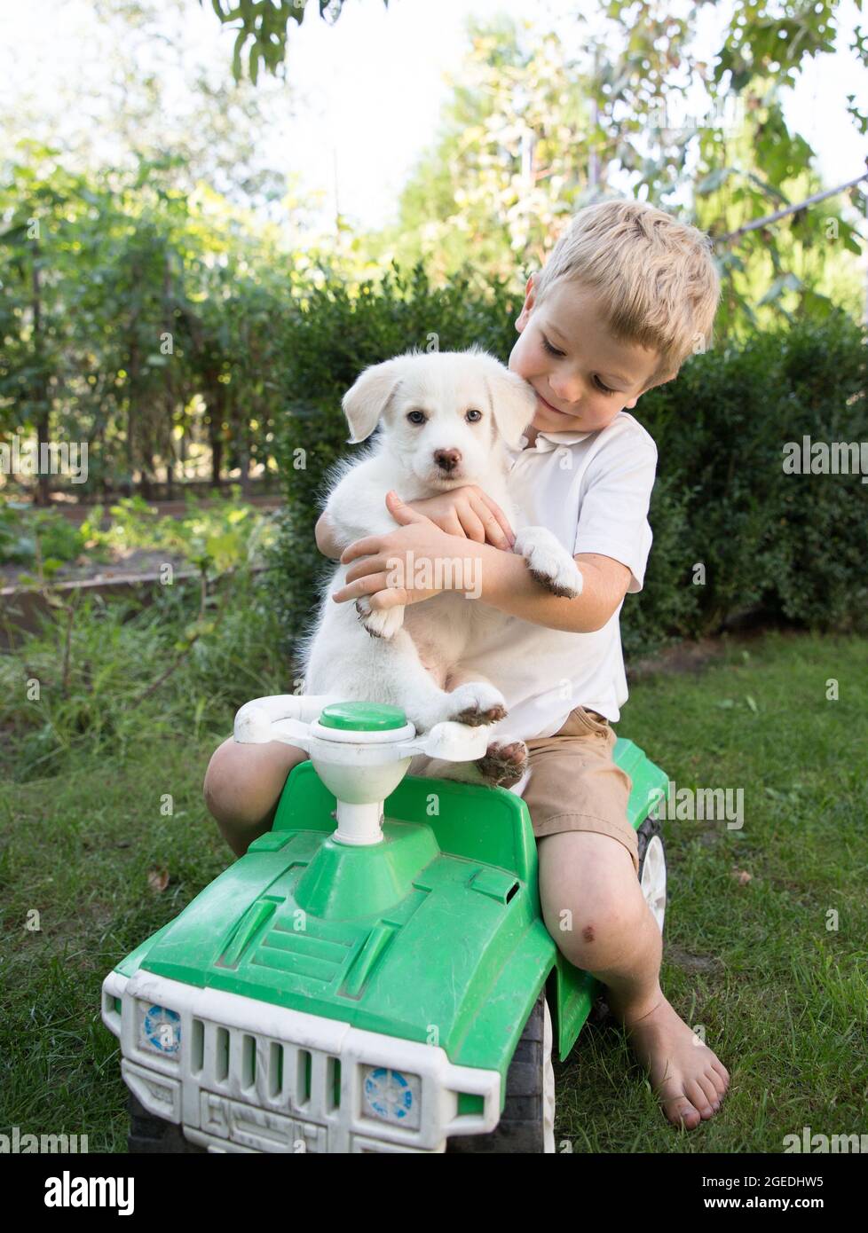 Netter Junge 4 Jahre alt mit einem weißen Welpen sitzen in einer Umarmung auf einem großen Kinderwagen. Kind und Hund sind Freunde. Glückliche Kindheit mit geliebten p Stockfoto