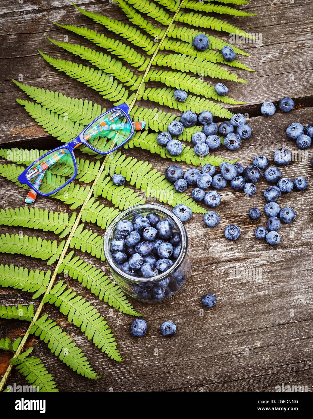 Umweltfreundlich, Lebensmittel, Sommerkomposition mit Bio, wilden Blaubeeren, Kindergläser und Farn lassen auf einem Holztisch. Natürliche Heidelbeeren sind eine Quelle Stockfoto