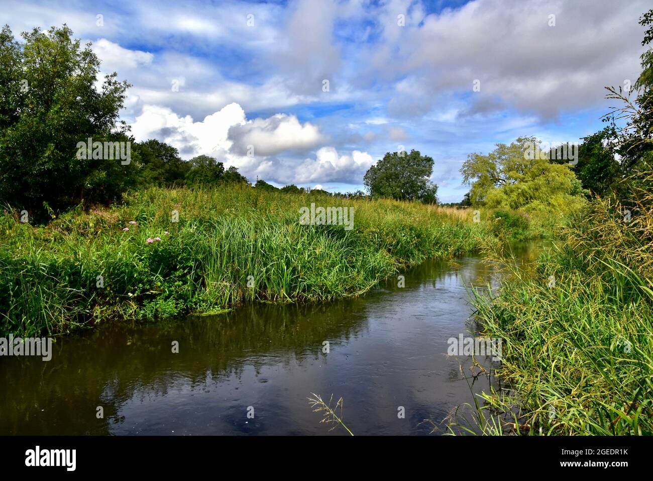 Der Fluss Bure in Ingworth in Norfolk. Stockfoto