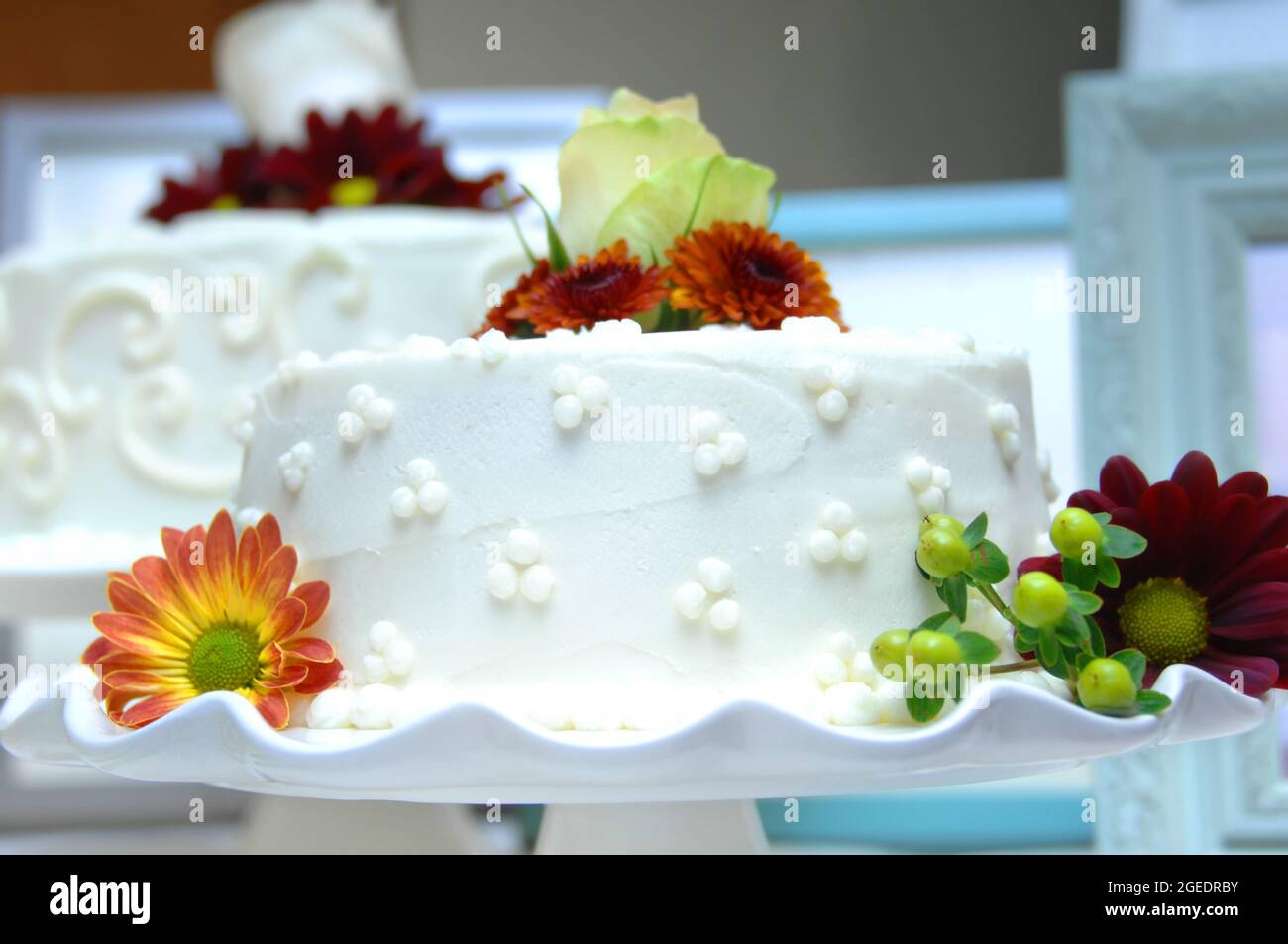 Weiß vereister Hochzeitstorte ist mit Herbstblumen in Burgund und Orange verziert. Es setzt sich auf einen weißen, gläsernen Kuchenteller. Stockfoto