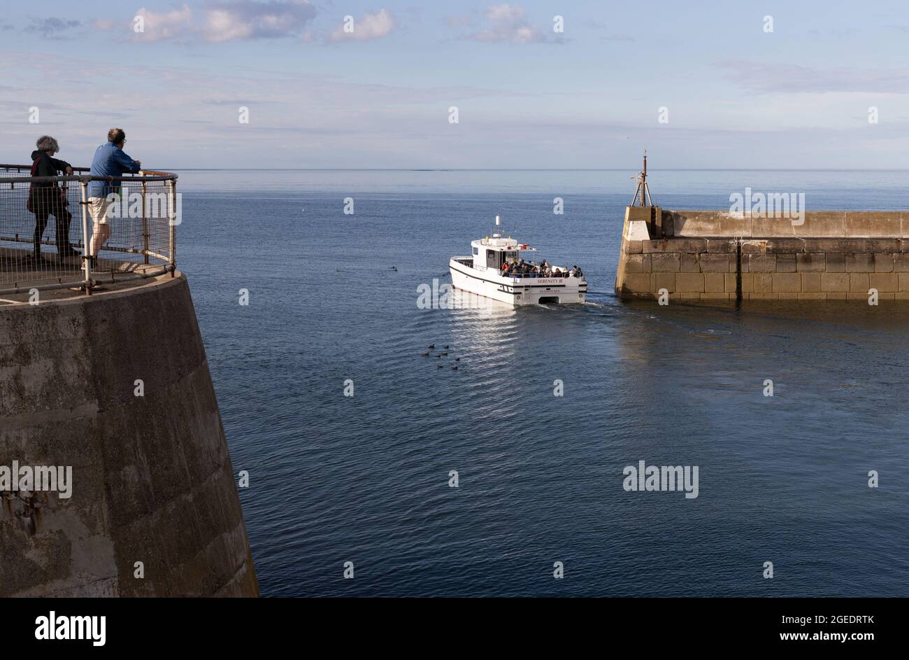 Die Bootstour bei Sonnenuntergang beginnt am Seahouses Harbour, North Sunderland Harbour, Northumberland, England Stockfoto