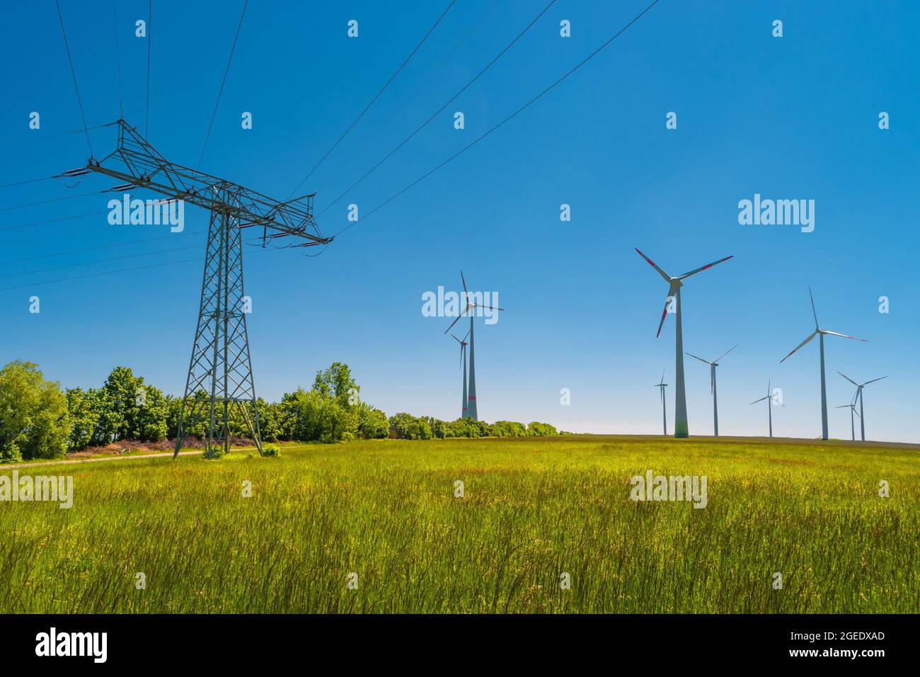 Panoramablick über schöne Farmlandschaft mit Wiesenfeld mit verschiedenen Blumen, Windturbinen zur Erzeugung von grüner Energie und Stromleitung Stockfoto