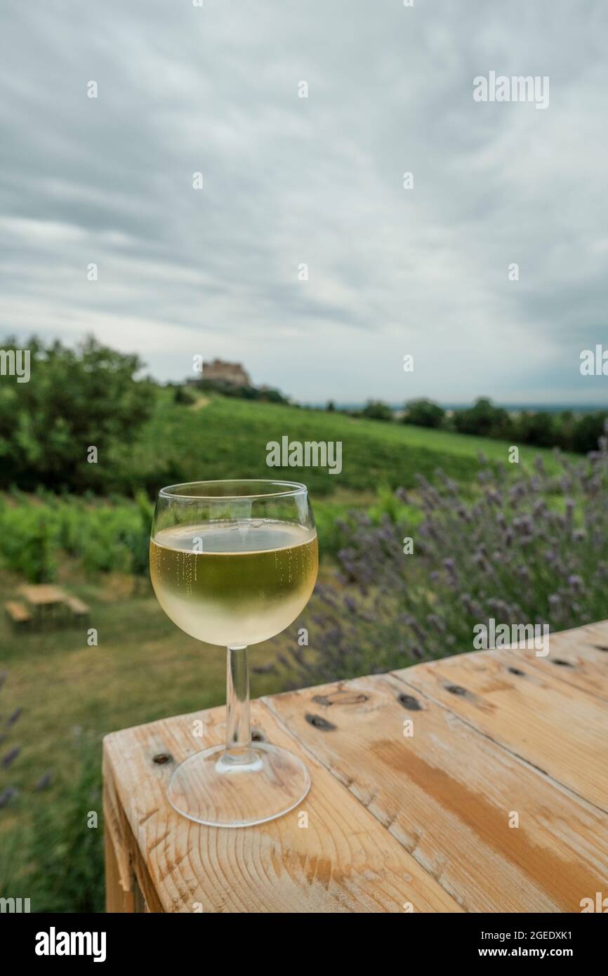Ein Glas Weißwein auf der Terrasse aus der Nähe über Weinberge, Schloss und blauen Himmel. Weinbereitung Stockfoto