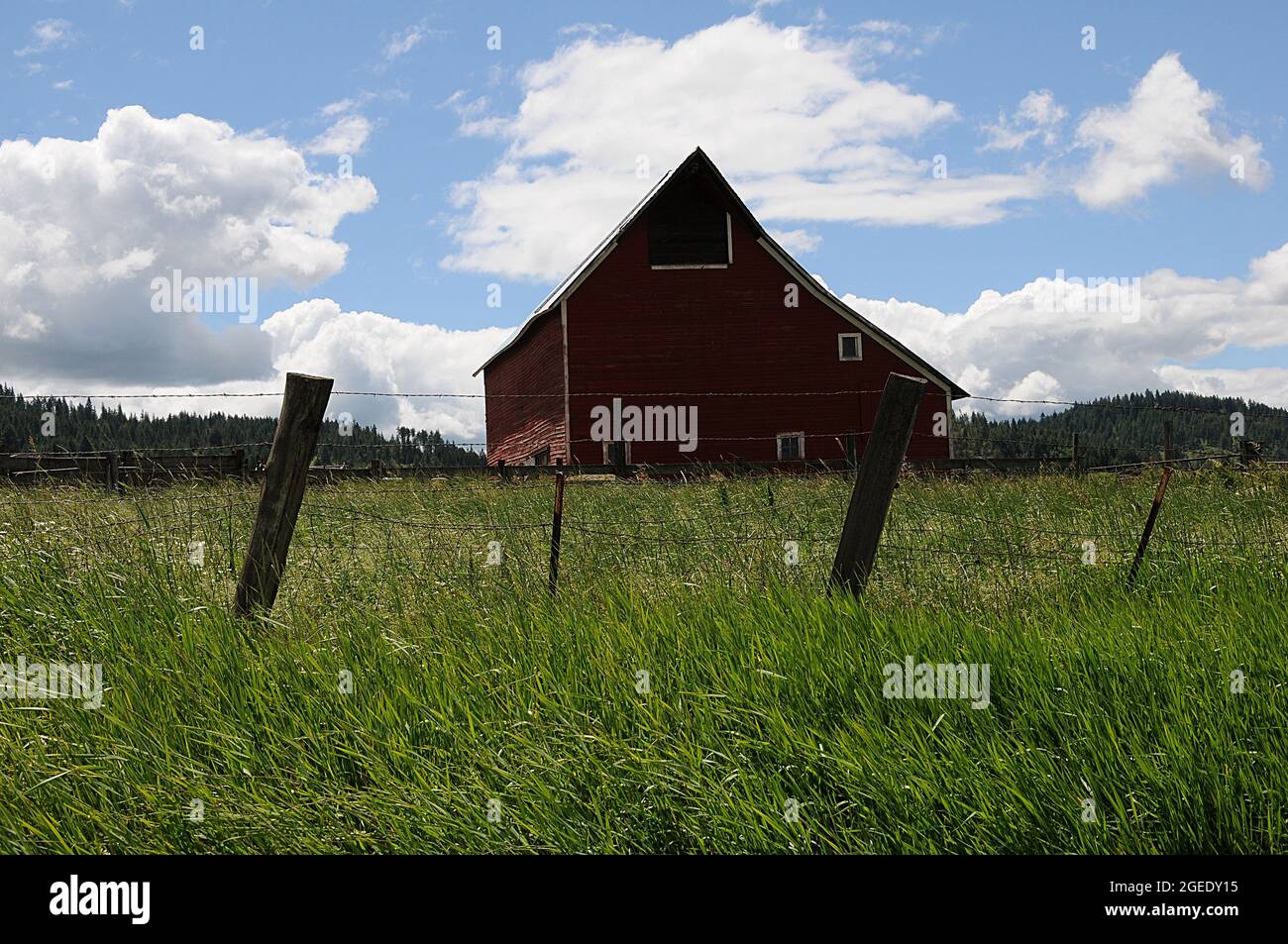southwick/Nez Perce County/Idaho/USA. 23.Juni 2018.-Alte Scheunen und Autos und Picknicks als Müll oder Kunst oder alte Geschichte der Vereinigten Staaten von Amerika. Und alte Lebensweise Southwick Nez Perce County nördlichen Idaho. (Foto.Francis Dean / Deanpictures. Stockfoto